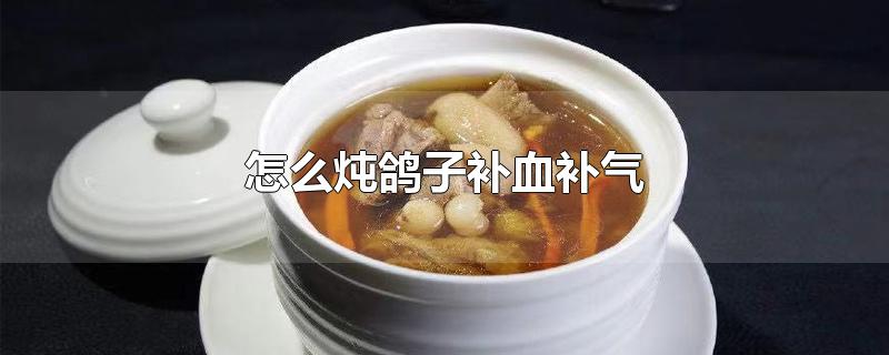 怎么燉鴿子補血補氣