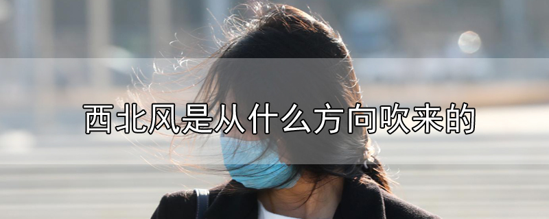 西北風(fēng)是從什么方向吹來(lái)的
