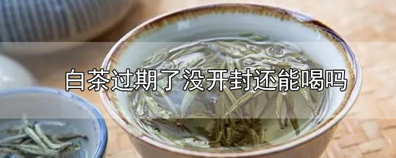 白茶過期了沒開封還能喝嗎