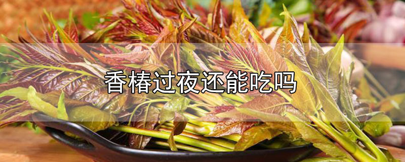 香椿過(guò)夜還能吃嗎