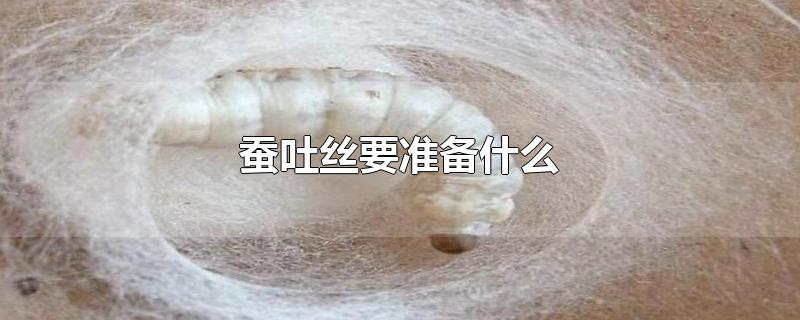 蠶吐絲要準備什么