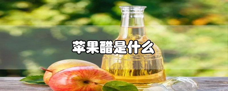 蘋果醋是什么