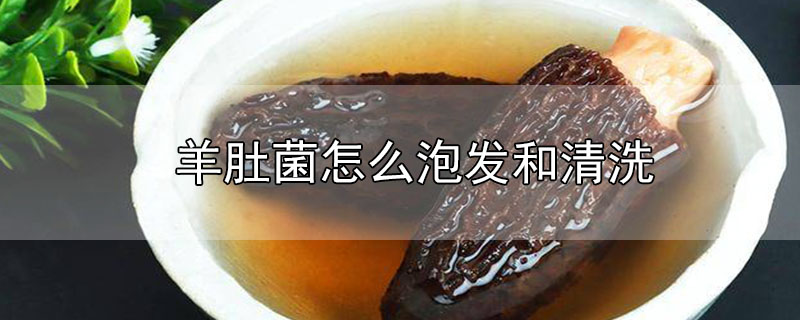 羊肚菌怎么泡發(fā)和清洗