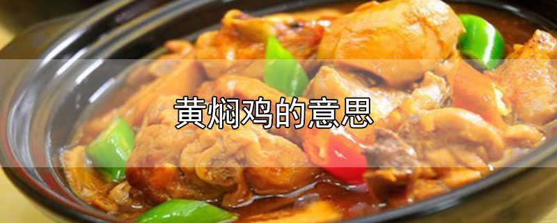黃燜雞的意思