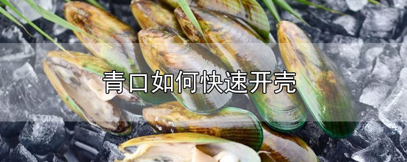 青口如何快速開殼