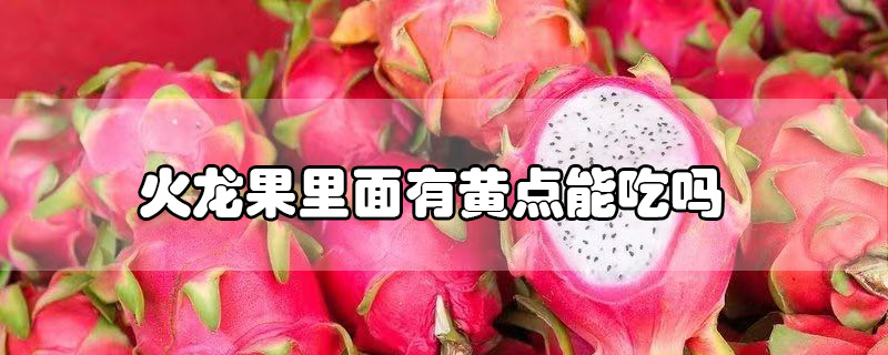火龍果里面有黃點能吃嗎