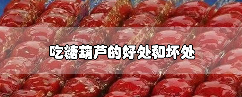 吃糖葫蘆的好處和壞處