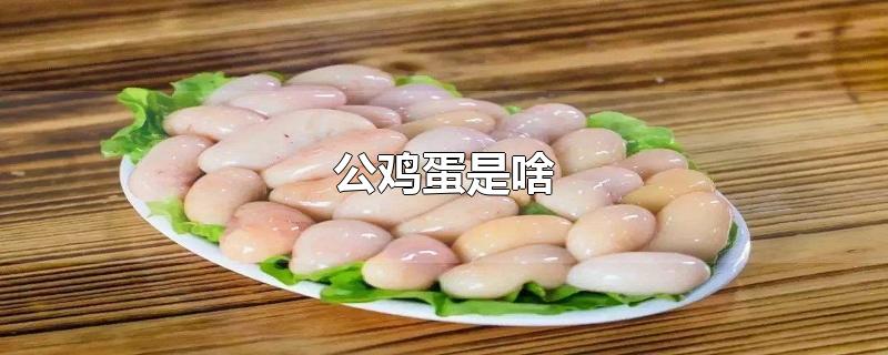 公雞蛋是啥